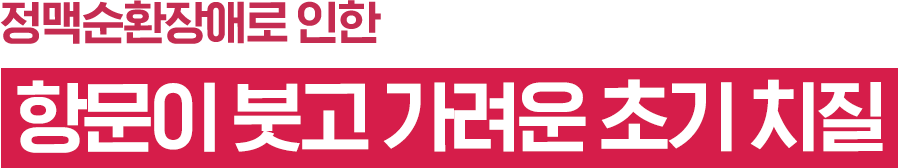 정맥순환장애로 인한 항문이 붓고 가려운 치질 통증